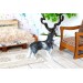 Miniature dog Siberian husky dollhouse pet animal