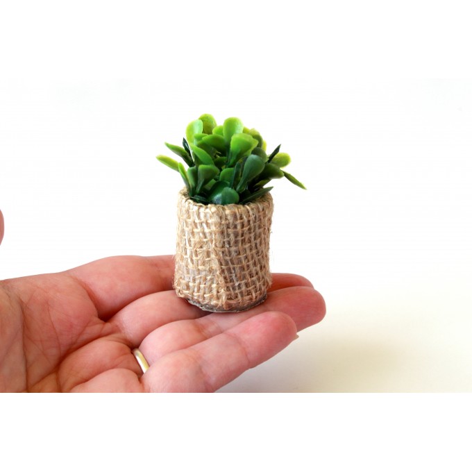 Miniature boho plant with pot for dolls house tiny