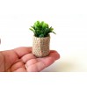 Miniature boho plant with pot for dolls house tiny