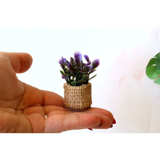 Miniature boho plant with pot for dolls house tiny