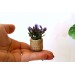 Miniature boho plant with pot for dolls house tiny