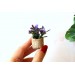 Miniature boho plant with pot for dolls house tiny