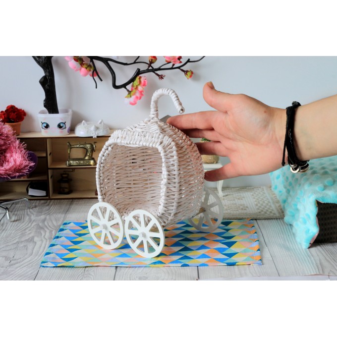 Cinderella stroller shop