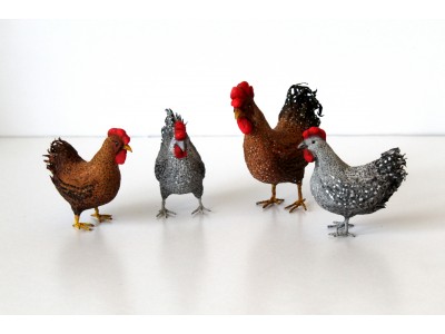 Hen