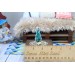 Miniature Christmas tree with presents on the tray. Doll