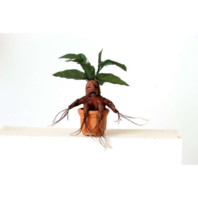 Miniature mandragora root plant in the pot, dollhouse