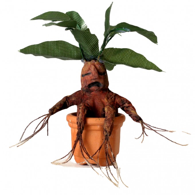 Miniature mandragora root plant in the pot, dollhouse