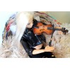 Miniature violin, dollhouse fiddle orchestra music