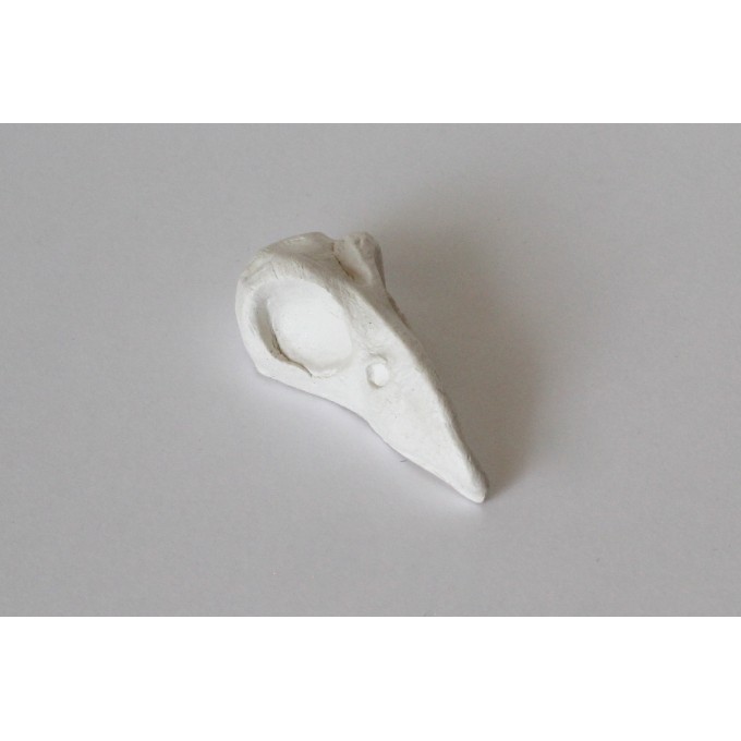Miniature bird skull, raven crow blackbird gothic decor
