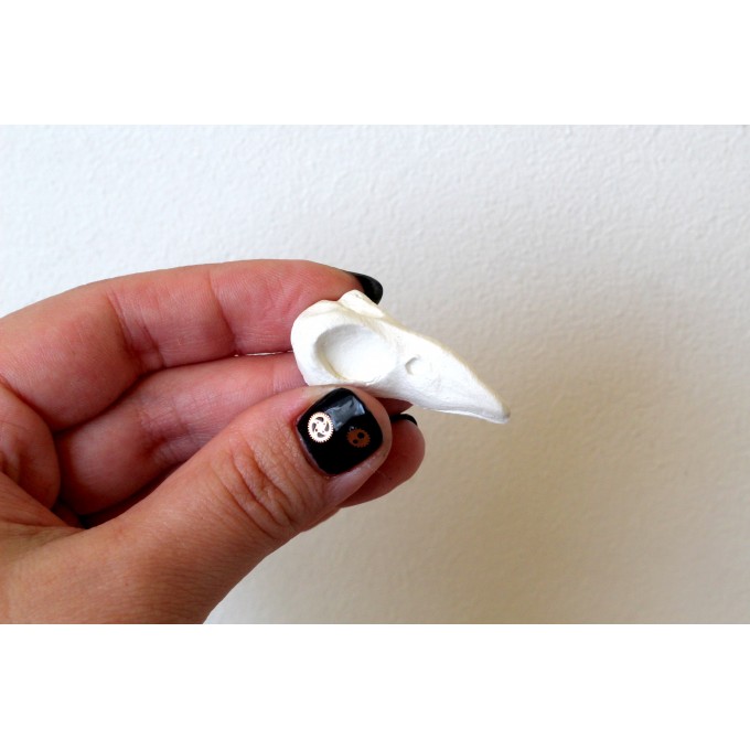 Miniature bird skull, raven crow blackbird gothic decor