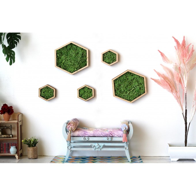 Miniature hexagon moss wall art framed dollhouse interior 
