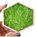 Miniature hexagon moss wall art framed dollhouse interior 