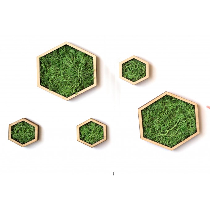 Miniature hexagon moss wall art framed dollhouse interior 