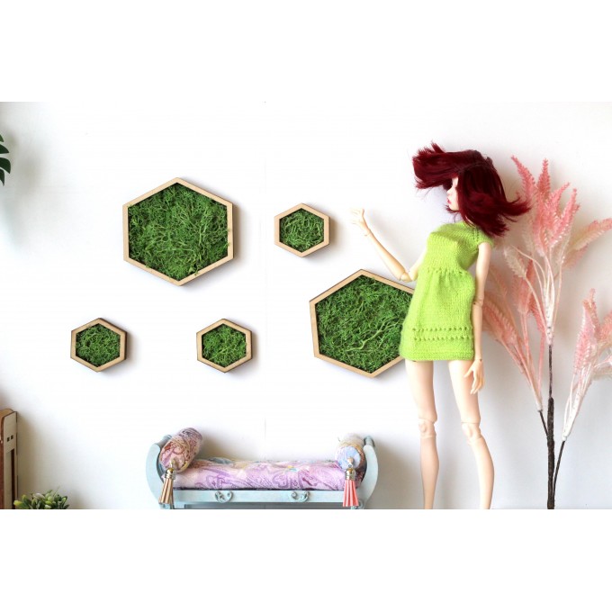 Miniature hexagon moss wall art framed dollhouse interior 