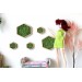 Miniature hexagon moss wall art framed dollhouse interior 