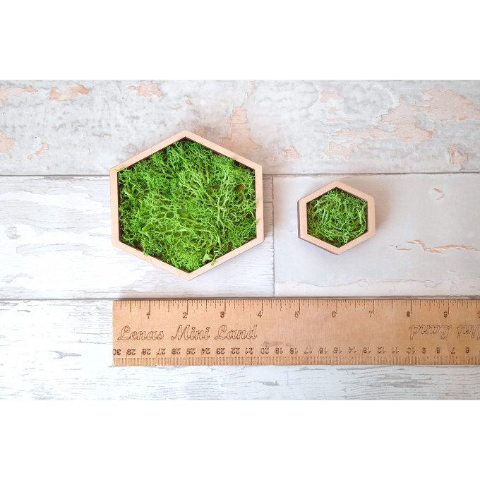 Miniature hexagon moss wall art framed dollhouse interior 