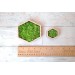 Miniature hexagon moss wall art framed dollhouse interior 