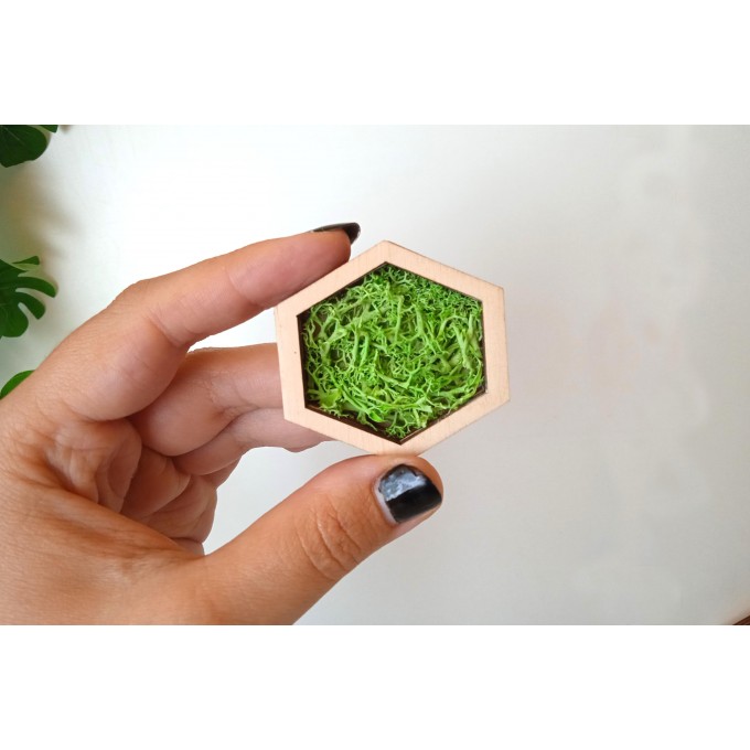 Miniature hexagon moss wall art framed dollhouse interior 