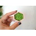 Miniature hexagon moss wall art framed dollhouse interior 