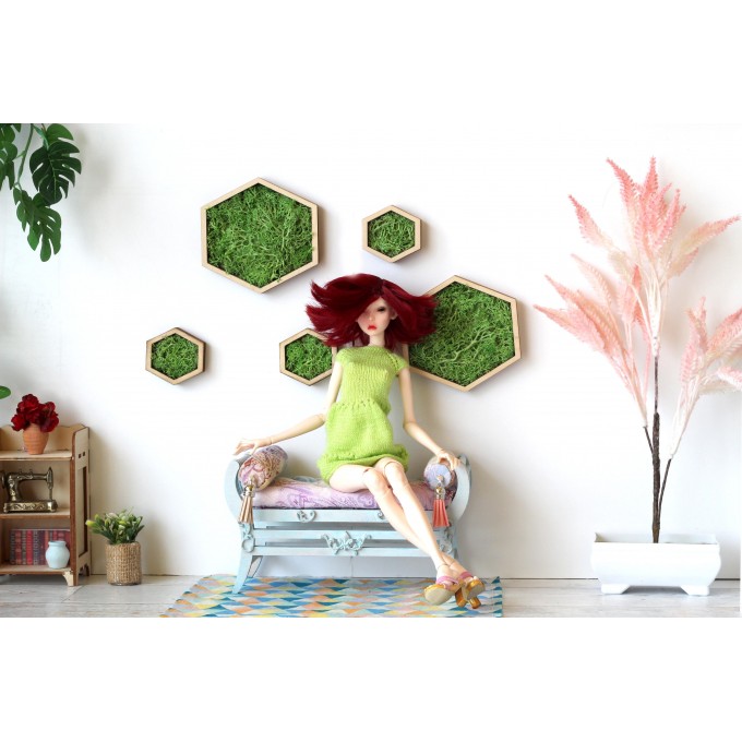 Miniature hexagon moss wall art framed dollhouse interior 