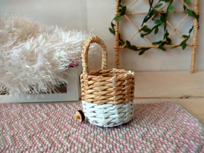 Shopping trolley